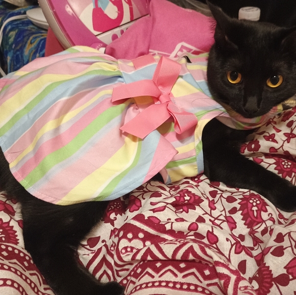 Meet your Posher, Kimberly - Picture 15 of 16